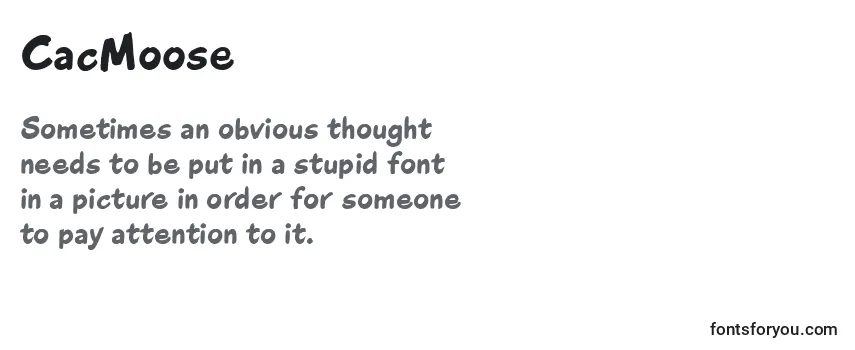 CacMoose Font