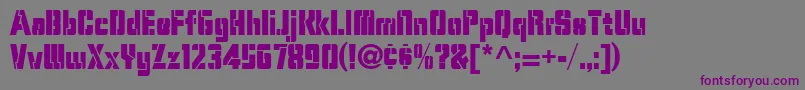 StencilCamera Font – Purple Fonts on Gray Background