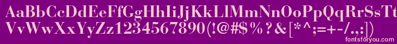 BauerbodonistdBold Font – Pink Fonts on Purple Background