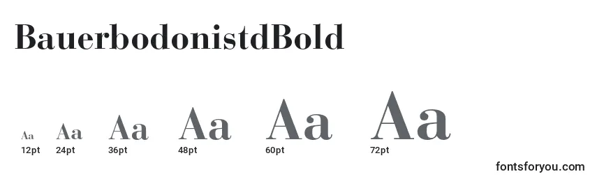 Размеры шрифта BauerbodonistdBold
