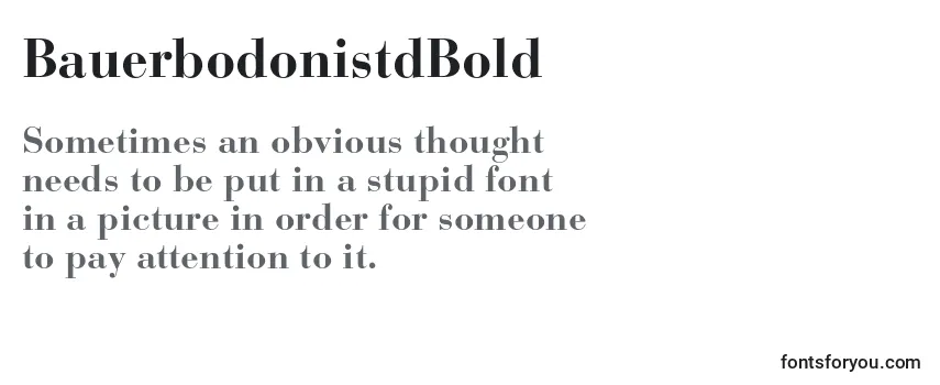 Review of the BauerbodonistdBold Font