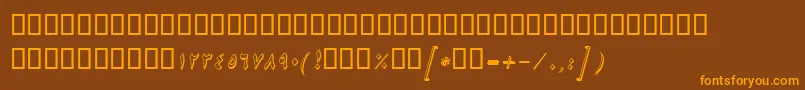 BNikiShadowItalic Font – Orange Fonts on Brown Background