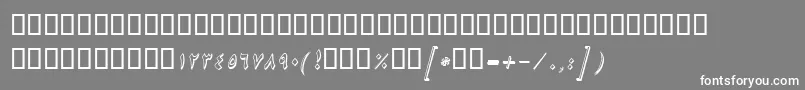 BNikiShadowItalic Font – White Fonts on Gray Background
