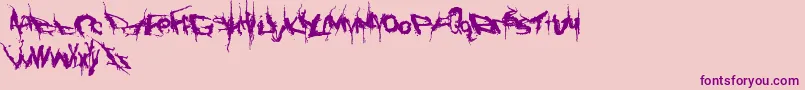 Convalescence Font – Purple Fonts on Pink Background