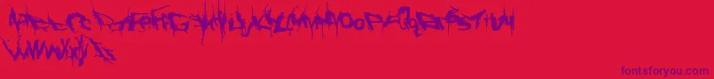 fuente Convalescence – Fuentes Moradas Sobre Fondo Rojo