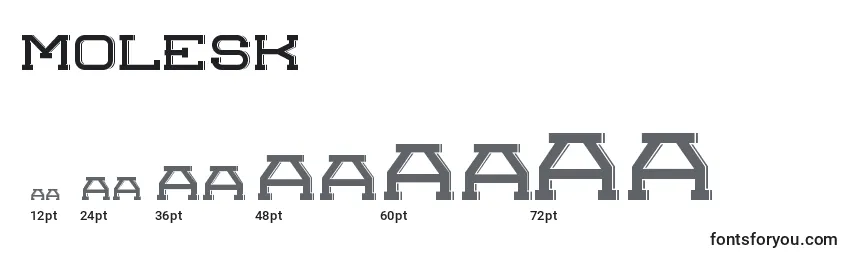 Размеры шрифта Molesk