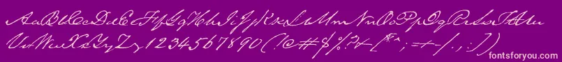 TexasHero Font – Pink Fonts on Purple Background