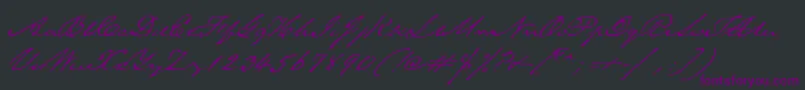 TexasHero Font – Purple Fonts on Black Background