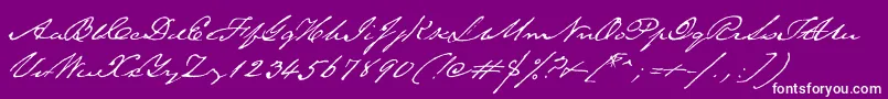 TexasHero Font – White Fonts on Purple Background