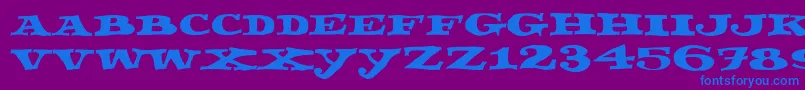 Fettecke-Schriftart – Blaue Schriften auf violettem Hintergrund
