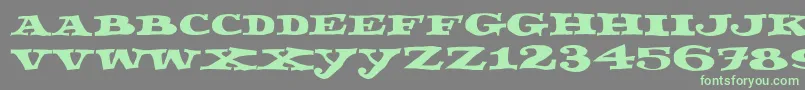 Fettecke Font – Green Fonts on Gray Background