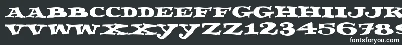Шрифт Fettecke – белые шрифты
