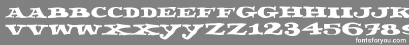 Fettecke Font – White Fonts on Gray Background