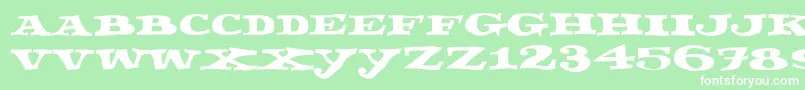 fuente Fettecke – Fuentes Blancas Sobre Fondo Verde