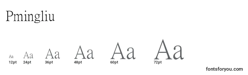 Pmingliu Font Sizes