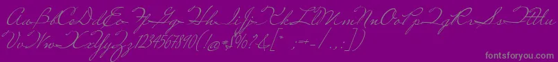 MissRobertson-Schriftart – Graue Schriften auf violettem Hintergrund