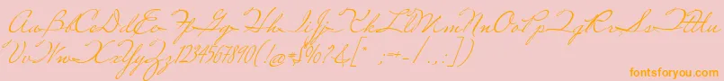 MissRobertson Font – Orange Fonts on Pink Background