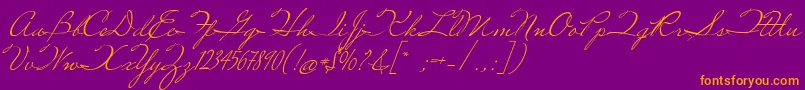 MissRobertson-Schriftart – Orangefarbene Schriften auf violettem Hintergrund