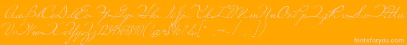 MissRobertson Font – Pink Fonts on Orange Background