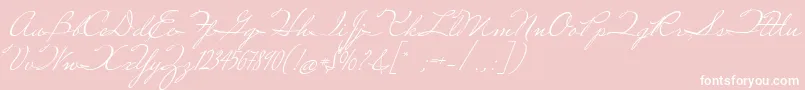 MissRobertson Font – White Fonts on Pink Background