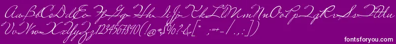 MissRobertson Font – White Fonts on Purple Background