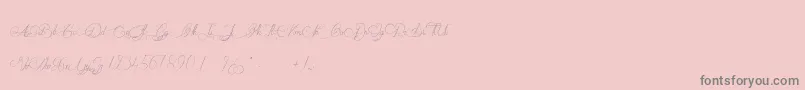 MademoiselleCatherine Font – Gray Fonts on Pink Background