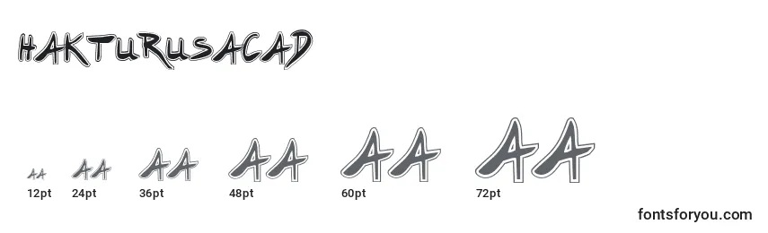 Размеры шрифта Hakturusacad