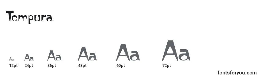 Размеры шрифта Tempura
