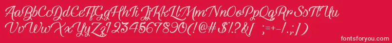 YouthAndBeautyTtf Font – Pink Fonts on Red Background