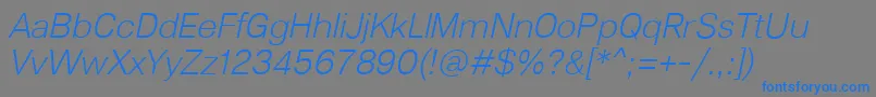 Lunchtype23LightItalic Font – Blue Fonts on Gray Background