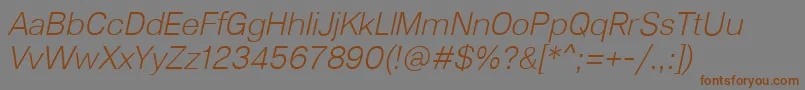 Lunchtype23LightItalic Font – Brown Fonts on Gray Background