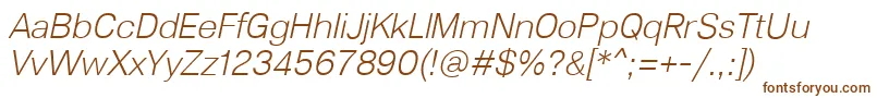 Lunchtype23LightItalic Font – Brown Fonts