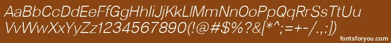 Lunchtype23LightItalic Font – White Fonts on Brown Background