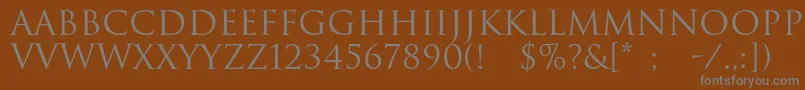 Romulc Font – Gray Fonts on Brown Background