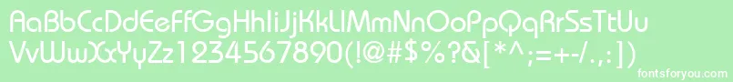 DynameSsi Font – White Fonts on Green Background