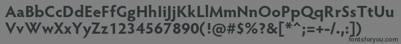 HypatiasansproBold Font – Black Fonts on Gray Background