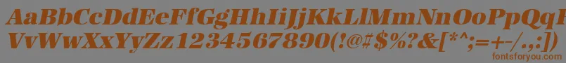 UrwantiquatultbolOblique Font – Brown Fonts on Gray Background