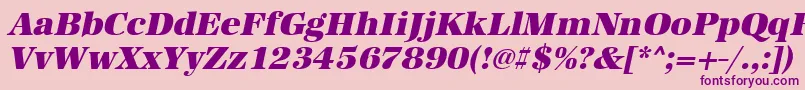 UrwantiquatultbolOblique Font – Purple Fonts on Pink Background