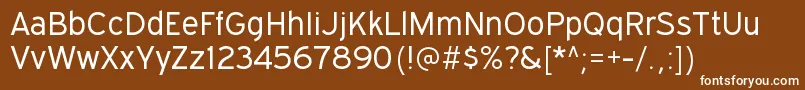ExpresswaybkRegular Font – White Fonts on Brown Background