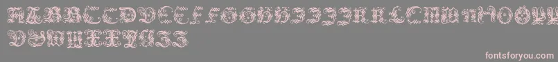 Ornamentalinitial-Schriftart – Rosa Schriften auf grauem Hintergrund