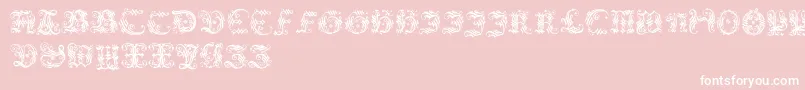 Ornamentalinitial Font – White Fonts on Pink Background