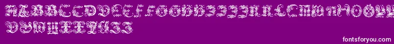 Police Ornamentalinitial – polices blanches sur fond violet