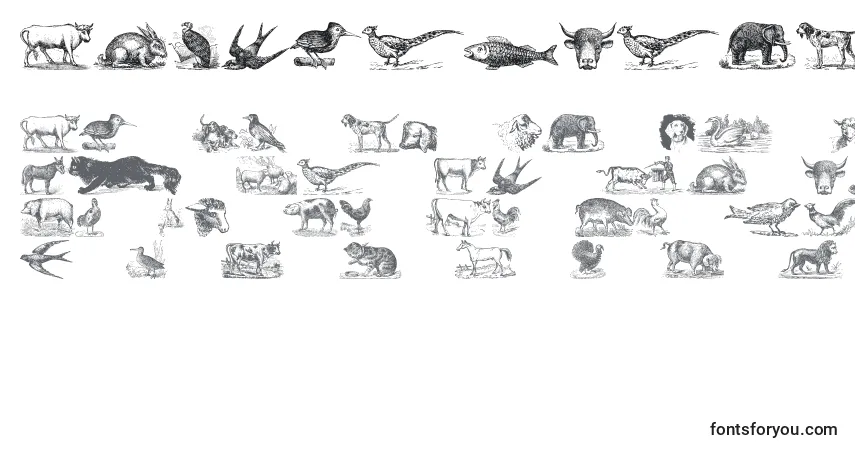 Czcionka AnimalsOldCuts – alfabet, cyfry, specjalne znaki