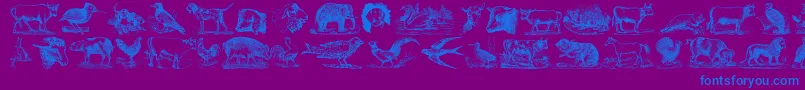 AnimalsOldCuts-fontti – siniset fontit violetilla taustalla