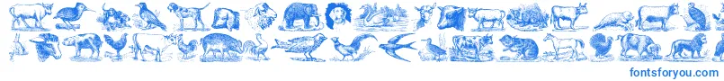 AnimalsOldCuts-Schriftart – Blaue Schriften auf weißem Hintergrund