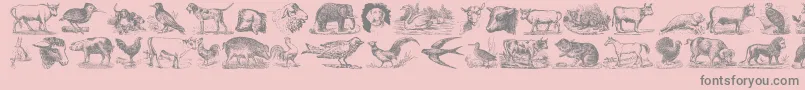 Czcionka AnimalsOldCuts – szare czcionki na różowym tle