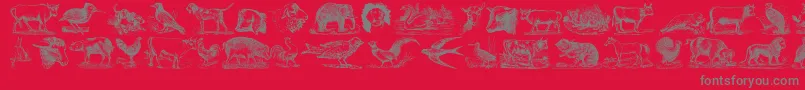 AnimalsOldCuts Font – Gray Fonts on Red Background