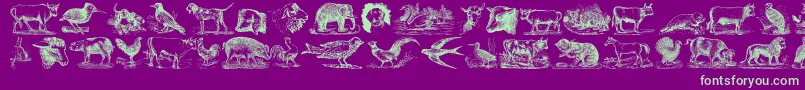 AnimalsOldCuts-fontti – vihreät fontit violetilla taustalla