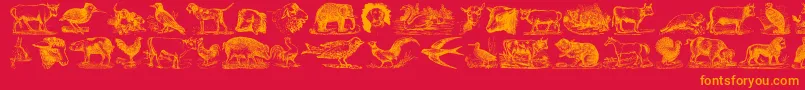 AnimalsOldCuts-Schriftart – Orangefarbene Schriften auf rotem Hintergrund
