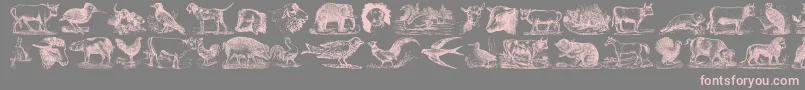 AnimalsOldCuts-fontti – vaaleanpunaiset fontit harmaalla taustalla